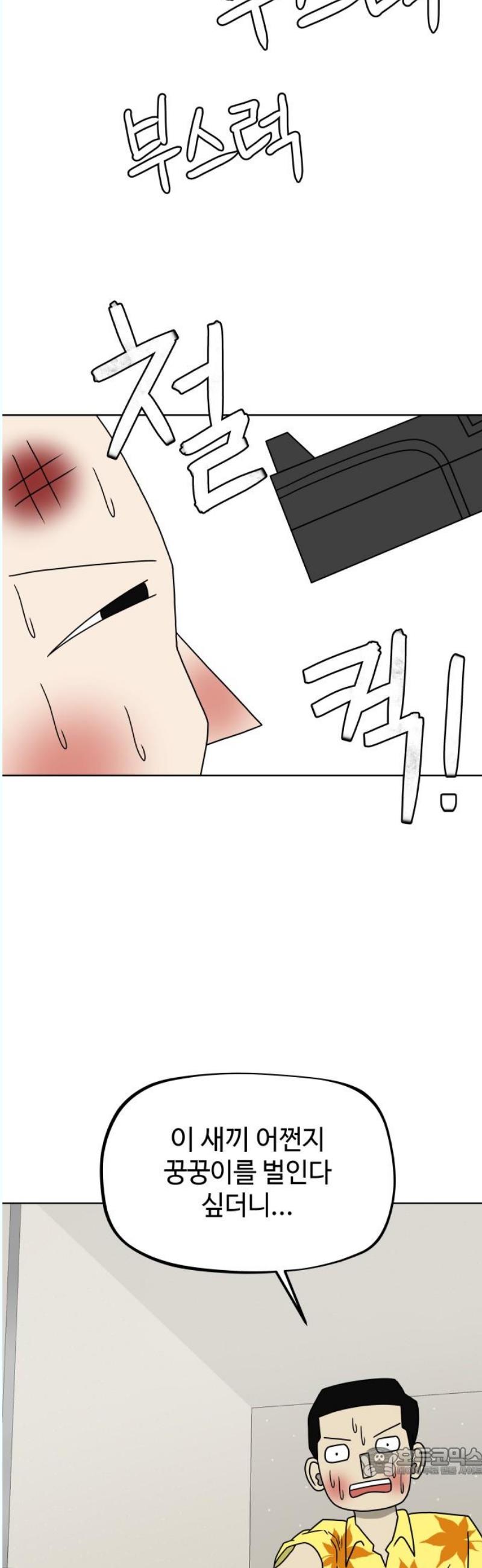 1746312780248ug0af7ybewl.jpg