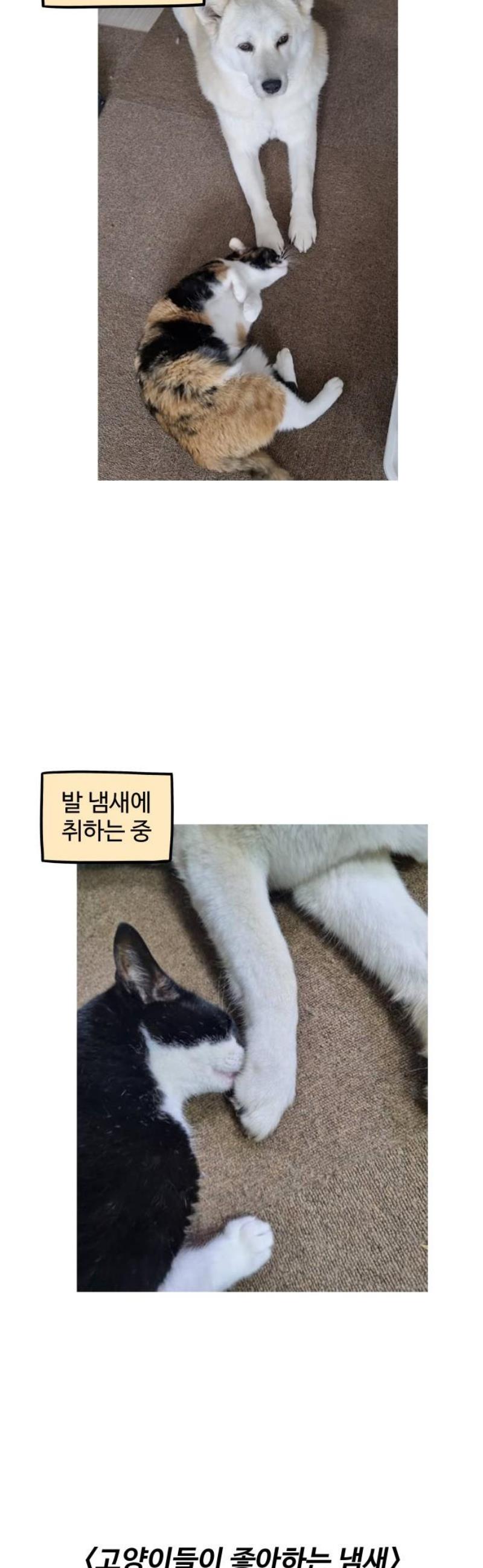1746394828760j82l4w9miko.jpg