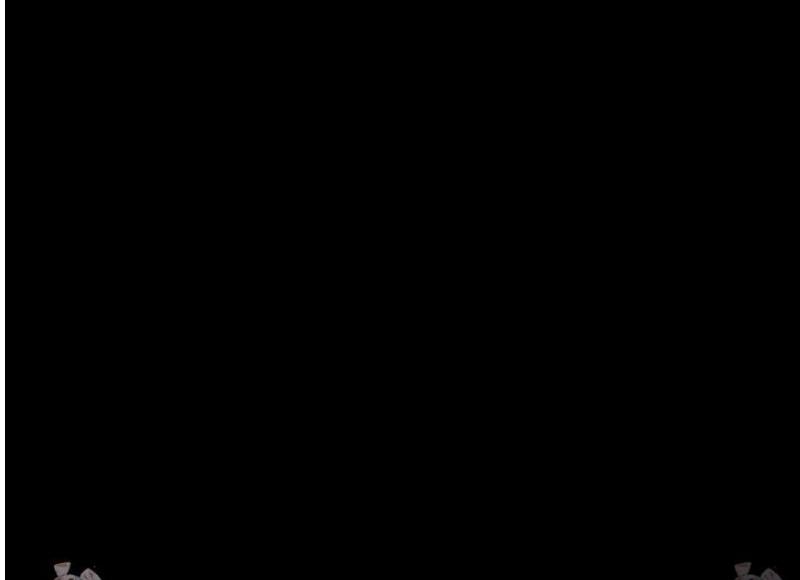 17466589305970kshdwg4gkt.jpg