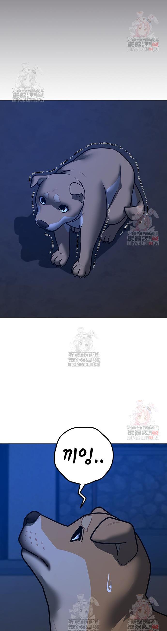 1746658714284czff0tkybpa.jpg